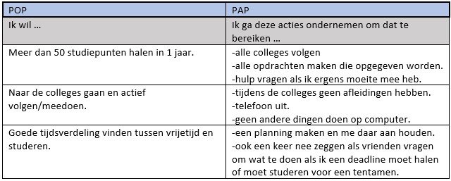 Persoonlijk ontwikkelingsplan en actieplan — originele tabel uit mijn portfolio