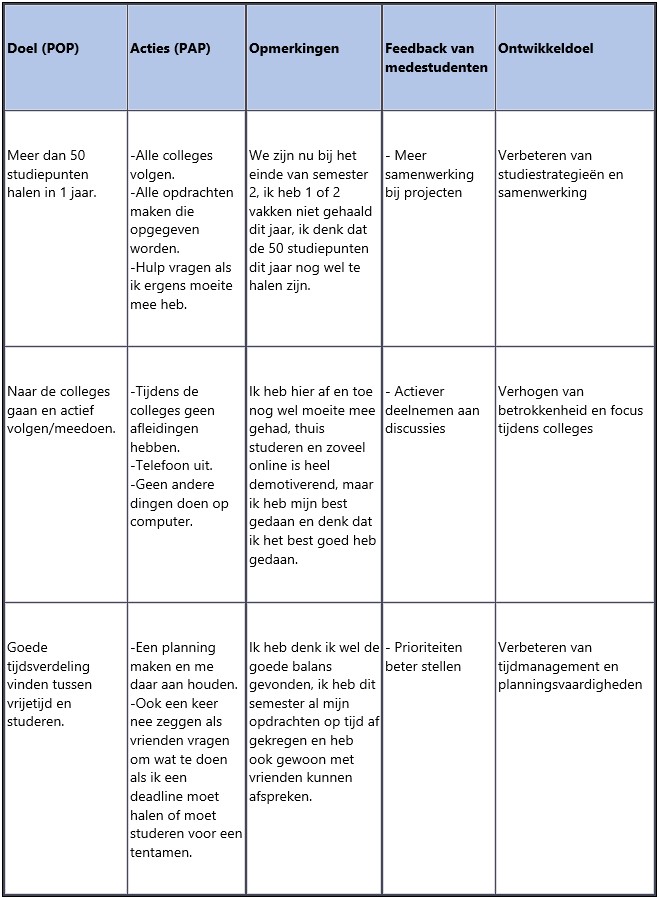 Persoonlijk ontwikkelingsplan en actieplan — originele tabel uit mijn portfolio
