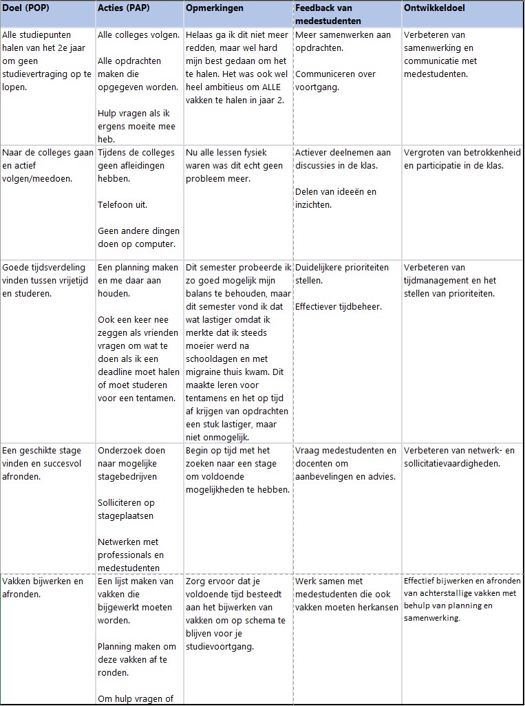 Persoonlijk ontwikkelingsplan en actieplan — originele tabel uit mijn portfolio